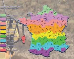 CARTO 3
