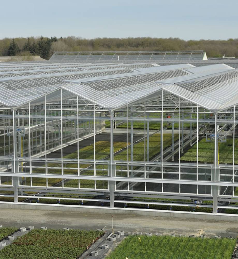 Serre-verre-grande-portee-HORTICULTURE-CHOLETAISE-2010